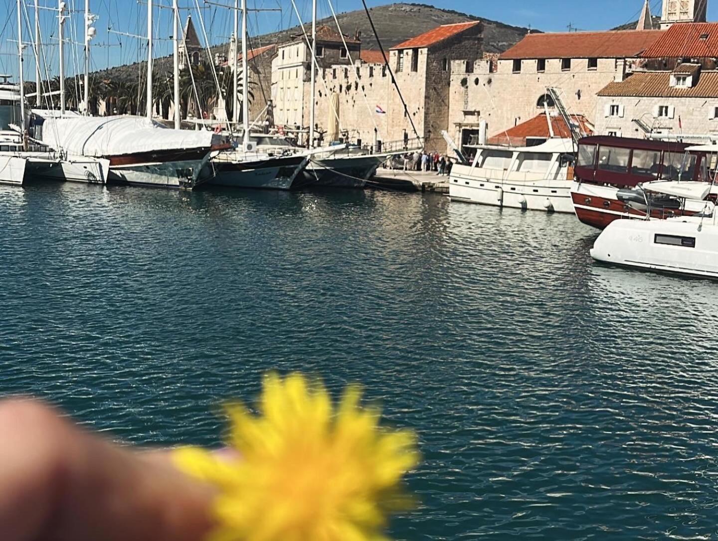 Apartments Villa Mirella 20 M From The Sea - Free Parking Trogir Eksteriør billede